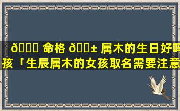 🐋 命格 🐱 属木的生日好吗女孩「生辰属木的女孩取名需要注意什么」